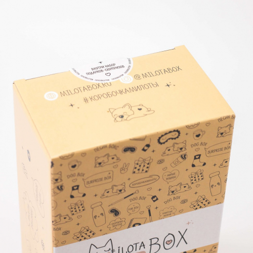 MilotaBox mini 