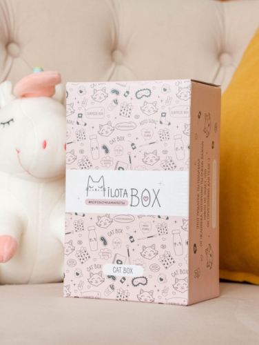 MilotaBox mini 