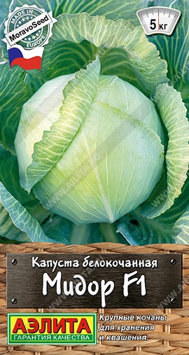 Капуста Мидор F1 0,1 г ц/п Аэлита (среднепоздняя)