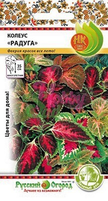 Цветы Колеус Радуга (смесь) многолетний (0,05 г) РО