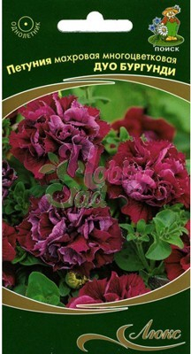 Цветы Петуния Дуо Бургунди махровая многоцветковая (10 шт) Поиск Люкс