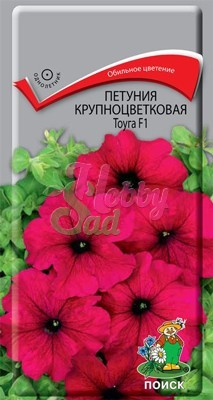 Цветы Петуния Тоуга F1 крупноцветковая (20 шт) Поиск
