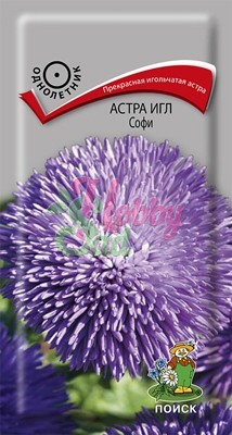 Цветы Астра Игл Софи (0,3 г) Поиск