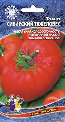 Томат Сибирский Тяжеловес  (0,1 г) Уральский Дачник