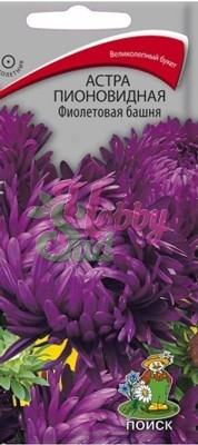 Цветы Астра Фиолетовая башня пионовидная (0,3 г) Поиск