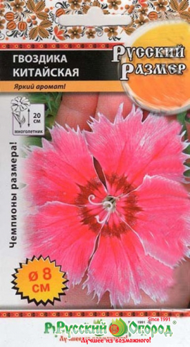 Цветы Гвоздика китайская Русский размер (0,1г) РО