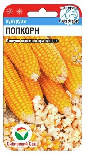 Кукуруза Попкорн