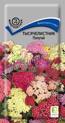 Цветы Тысячелистник Попугай  (10 шт) Поиск