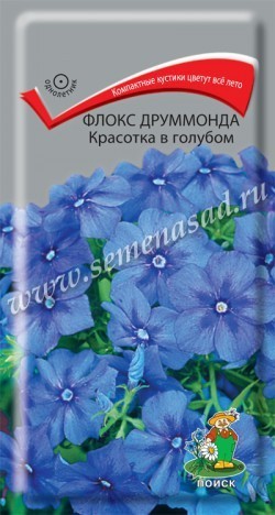 Флокс Красотка в голубом друммонда 0,1г