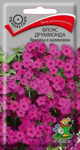 Флокс Красотка в малиновом друммонда  0,1г