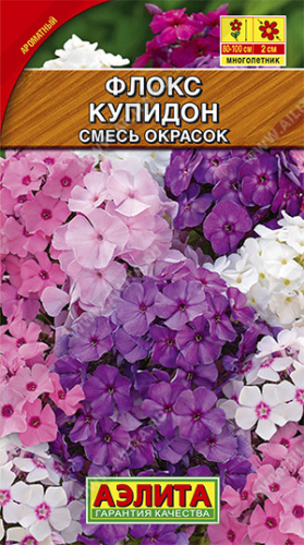 Флокс Купидон смесь метельчатый