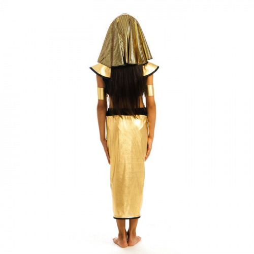 Карнавальный костюм «Клеопатра», головной убор, топик, штаны, нарукавники, р. 34, рост 134 см