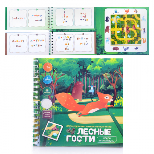 Игра магнитная головоломка 