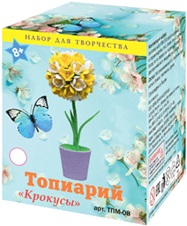 Набор для творчества топиарий