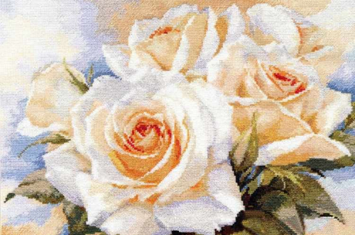 2-32 Белые розы
