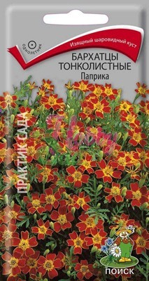 Цветы Бархатцы Паприка тонколистные (Тагетес) (0,1 г) Поиск