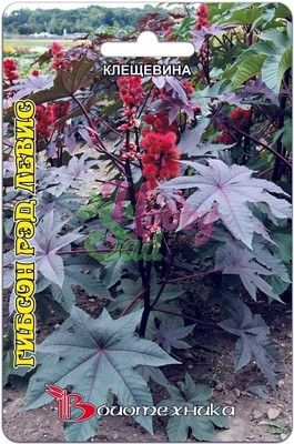 Цветы Клещевина Гибсон Рэд Левис (4 шт) Биотехника