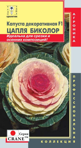 Капуста декоративная F1 (серия Crane) Цапля Биколор (Идеальна для срезки и осенних композиций! Высота 60-90см)