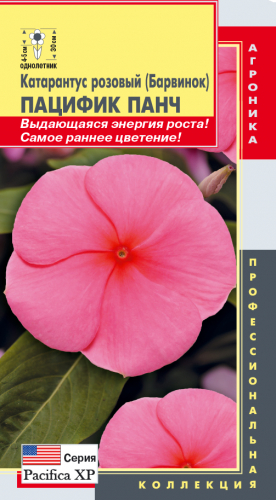 Катарантус розовый (Барвинок) Пацифик Панч