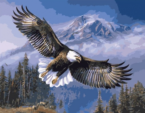 Американский орел
