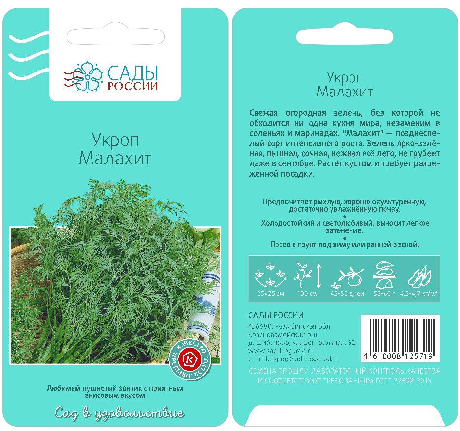 сорта укропа на зелень без зонтиков растущие кустом. укроп обильнолистный, 3г. укроп грибовский описание сорта. укроп сорта описание характеристика. лесногородский укроп лесногородский описание сорта.