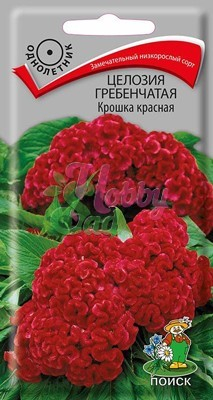 Цветы Целозия Крошка красная гребенчатая (0,1 г) Поиск