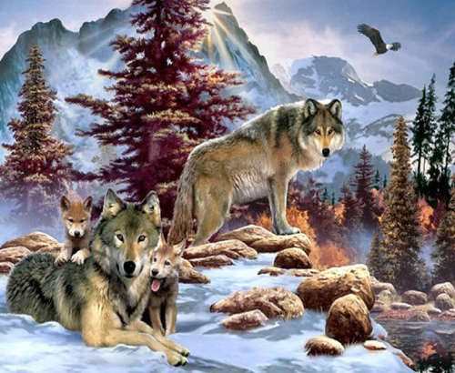 Картины по номерам 40х50 Семейство волков