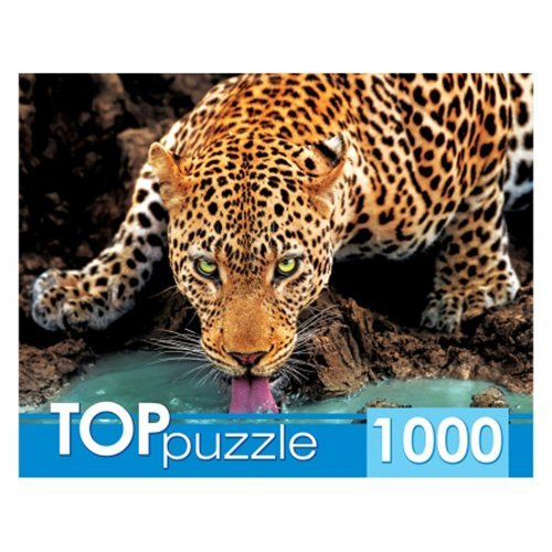 Пазл 1000 Красивый леопард ГИТП1000-2146