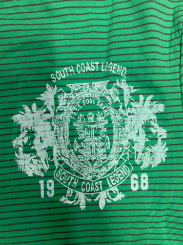 Яркая молодёжная футболка South Coast Legend №6883