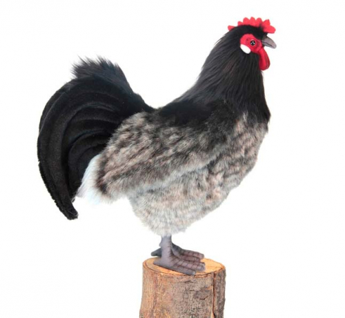 6037 Эльзасская курица, 34 см