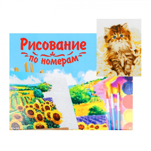 Картина по номерам на холсте 40 × 50 см, «Милый пушистый котёнок»