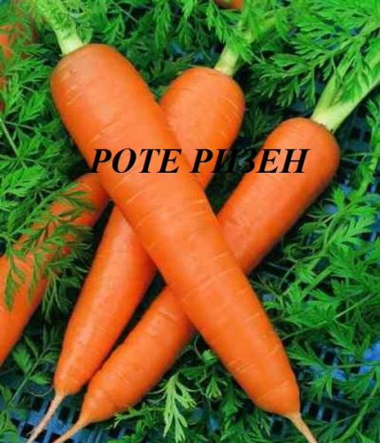 Морковь Роте ризен  белый пакет