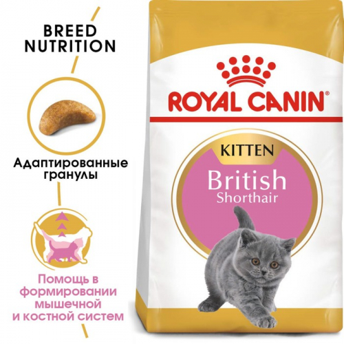 Сухой корм RC Kitten British Shorthair для британских котят, 2 кг