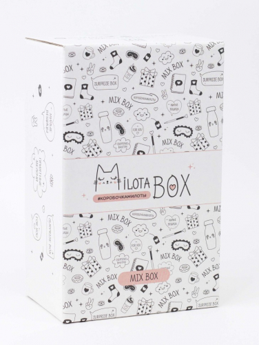 MilotaBox mini 