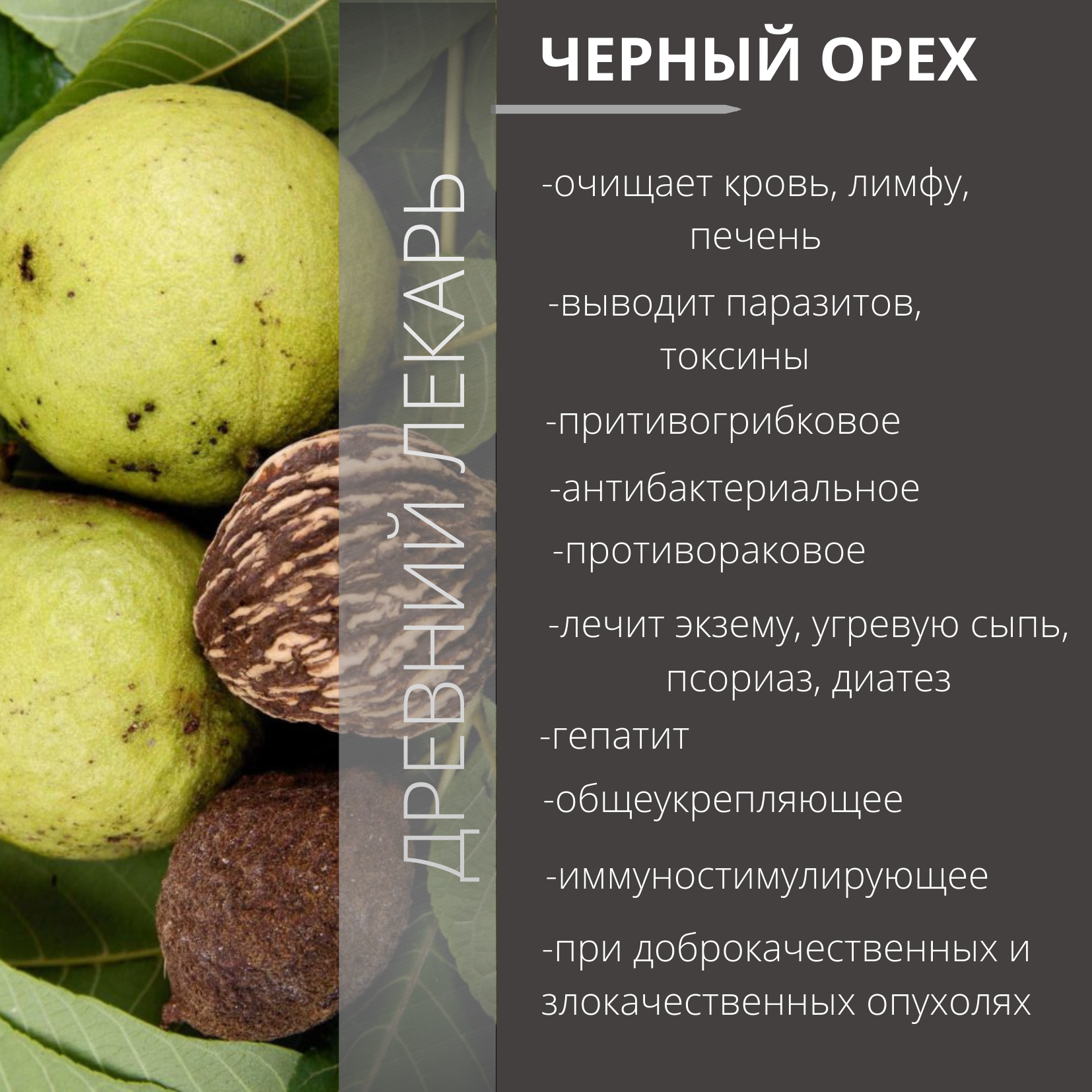 ЧЕРНЫЙ ОРЕХ