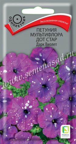 Петуния мультифлора Дот Стар Дарк Виолет