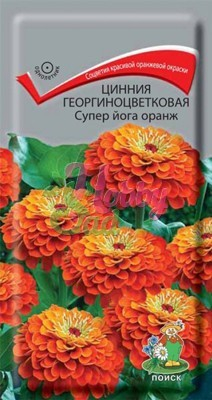 Цветы Цинния Супер Йога Оранж георгиноцветковая (0,4 г) Поиск