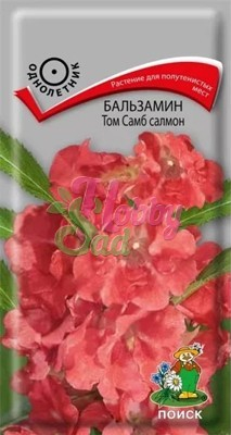 Цветы Бальзамин Том Самб салмон (0,1 г) Поиск