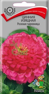 Цветы Цинния Розовая чаровница изящная (0,4 г) Поиск