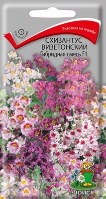 Цветы Схизантус визетонский Гибридная смесь F1 (0,06 г) Поиск