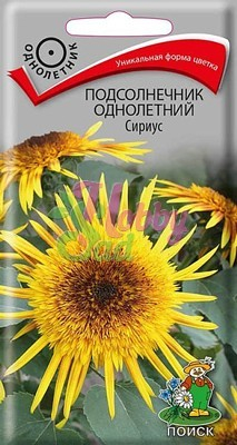 Цветы Подсолнечник Сириус (0,3 г) Поиск