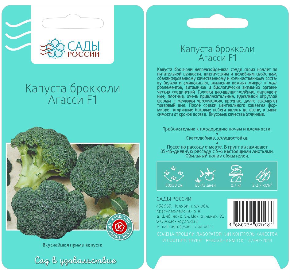 брокколи сорт тонус. капуста брокколи монако 10шт (бейо) агроэлита. брокколи сорта. брокколи агасси f1. брокколи сорт тонус.