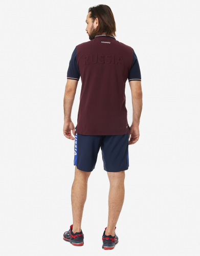 Рубашка поло мужская (бордо/синий) m13210g-cn191