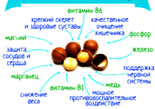 310р.   425р.макадамия крупная