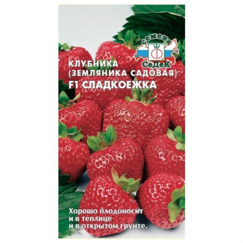 ягоды Клубника Сладкоежка F1, 15 шт ц/п Седек (ремонтантная)