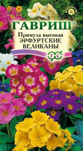 Цветы Примула Эрфуртские великаны, смесь 20 шт ц/п Гавриш (мног.)