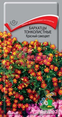 Цветы Бархатцы Красный Самоцвет тонколистные (Тагетес) (0,1 г) Поиск