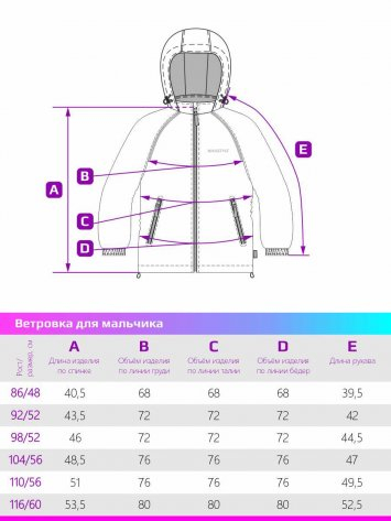 Ветровка 4л3921 серый