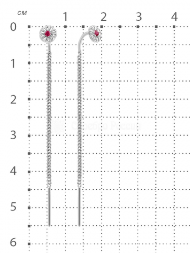 Серьги-продёвки из серебра с нат.рубинами родированные 925 пробы с7-234р415
