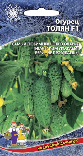 огурец Толян F1 - 10 сем
